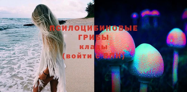 прущая мука Алзамай