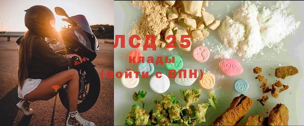 винт Алексин