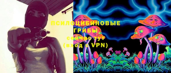 прущая мука Алзамай