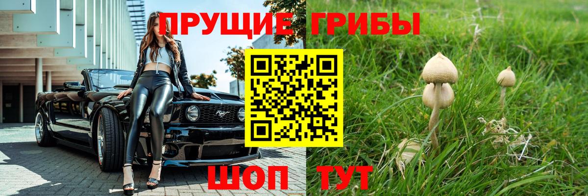 Кольчугино  Галлюциногенные грибы прущие грибы  Вход с VPN  Галлюциногенные грибы мухоморы 