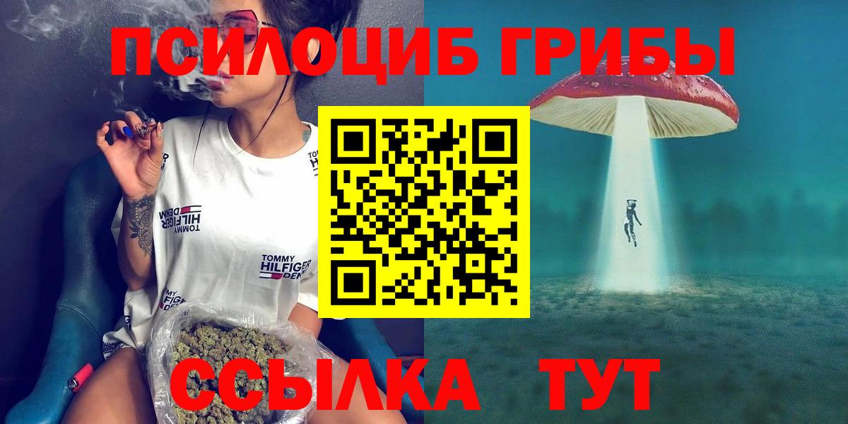 Галлюциногенные грибы мицелий Кольчугино